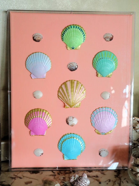 Shell Collage - Sunset